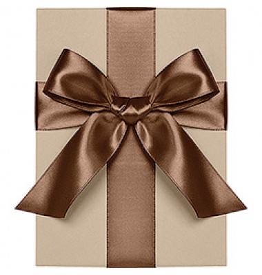 Double Face Satin Ribbon, Brown, Waste Not Paper